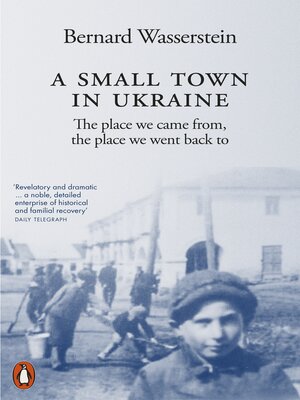 cover image of A Small Town in Ukraine